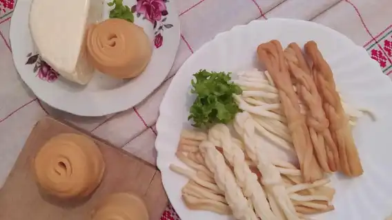 From Bratislava: Dracula Nosferatu - Orava Castle Day Tour