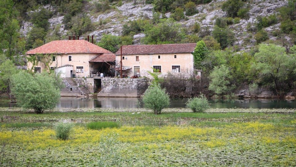 Kotor: Lake Skadar and Biograd Day Trip & Boat Ride