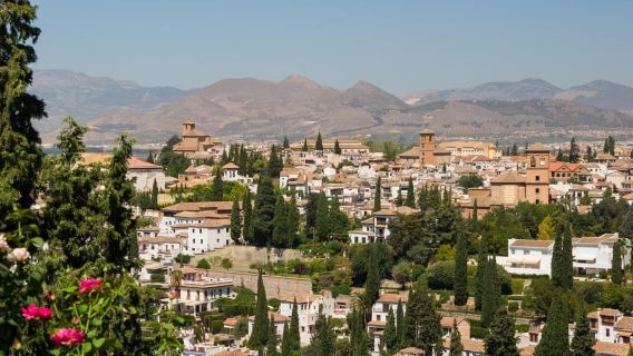 Tour dell'Alhambra, dei Palazzi Nasridi e dell'Albaicin