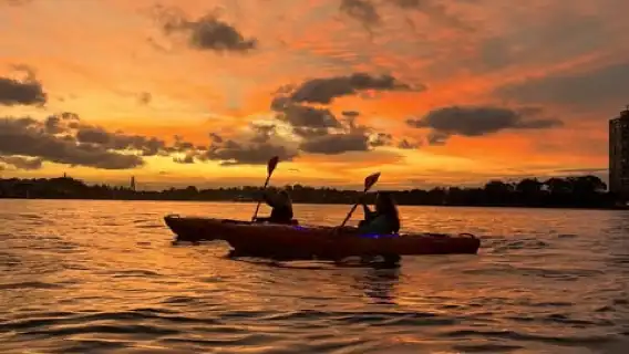 Sydney: Sunset Kayak Tour on Sydney Harbour
