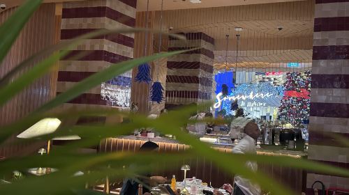 Aptitude Cafe & Eatery, Abu Dhabi, UAE - restaurant reservation service for the viral hotspot 1
