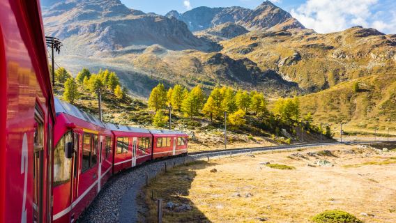 스위스 여행 패스 Swiss Travel Pass [공식 대리점/프로모션! 4매 구매 시 1매 무료/8매 구매 시 2매 무료/90개 도시 대중교통 포함/전망 열차/500여 개 박물관]