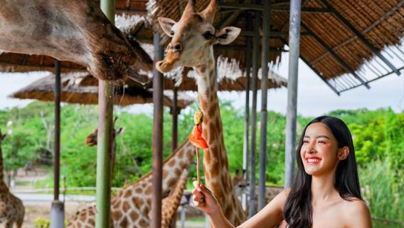 Tour di un giorno al mondo selvaggio di Bangkok [gruppo privato/incluso biglietto d'ingresso/trasporto dedicato nella zona dei predatori]