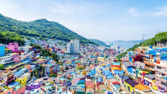 Seoul to Busan One-Day Tour