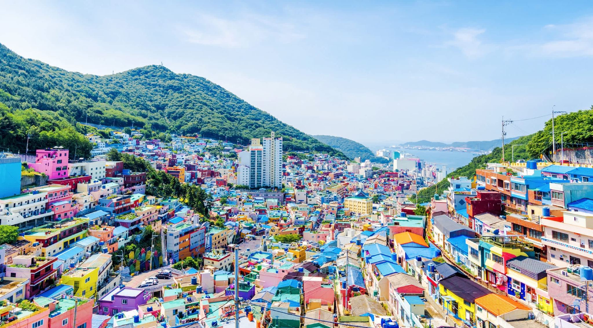 Seoul to Busan One-Day Tour