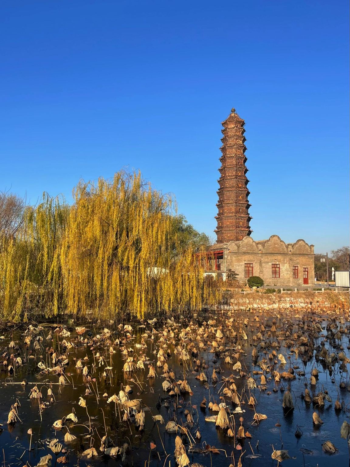 Kaifeng, Henan region: Professional guides/translators/local escorts/itinerary customization/team building/meeting events/business reception/custom tours