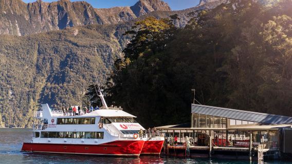 Milford Sound Nature Cruise, New Zealand