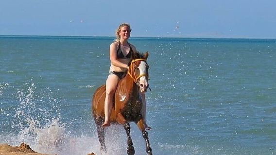  Horse Riding Tour 2 Hours on Sea And Desert & Transfer -Hurghada