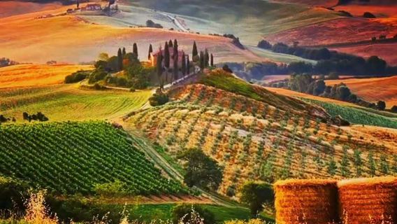 義大利佛羅倫斯托斯卡納包車一日遊