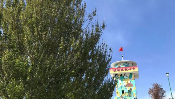 G219線小白楊哨所/阿拉山口口岸一日遊【6人以下小團】