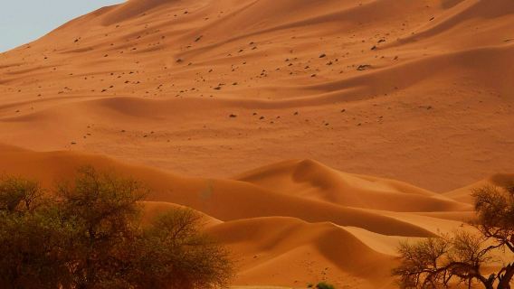 納米比亞&蘇絲斯黎【包車一日遊】經典沙海奇觀一日遊