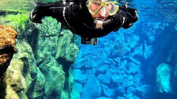 실프라: 가이드 동반 드라이슈트 스노클링