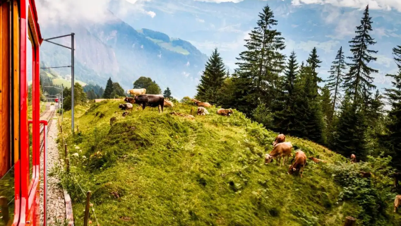 蘇黎世瑞吉山湖光山色一日遊，領略自然藝術之美