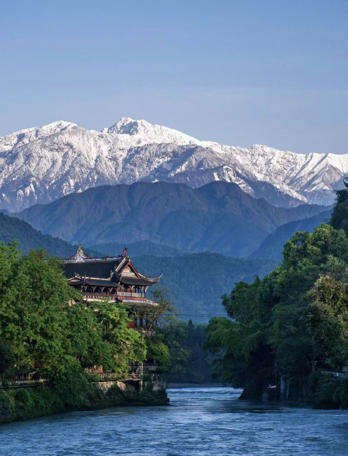 Chengdu to Panda Valley + Zhongshuge Bookstore + Yangtianwo + Dujiangyan South Bridge Blue Tears Day Trip