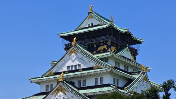 日本日遊包車/接送/商務出遊/可DIY定制