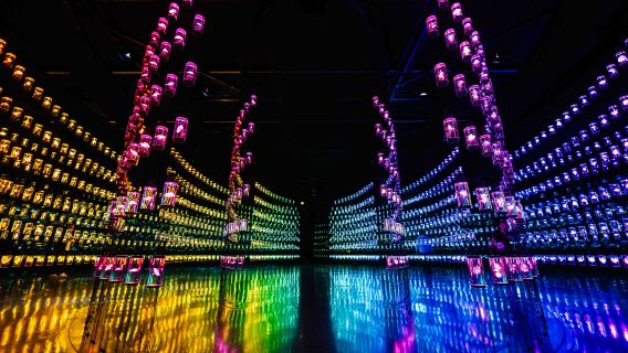 Dubai Day Trip (Private Car) - Museum of the Future + Dubai Aquarium & Underwater Zoo + Burj Khalifa