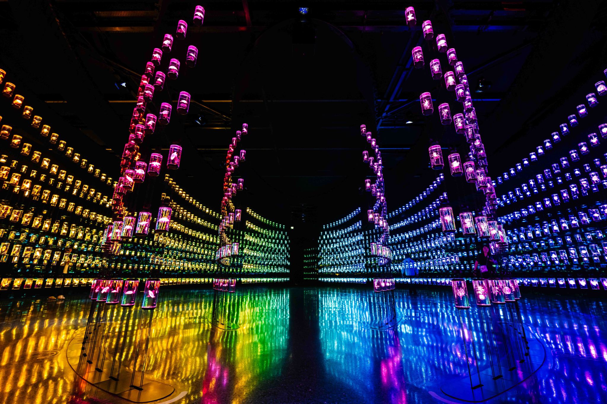 Dubai Day Trip (Private Car) - Museum of the Future + Dubai Aquarium & Underwater Zoo + Burj Khalifa