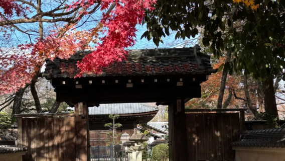 Kyoto round-trip day tour: Mount Hiei + Enryaku-ji Temple + Kinkaku-ji + Myōshin-ji Temple + Kitano Tenmangu Shrine