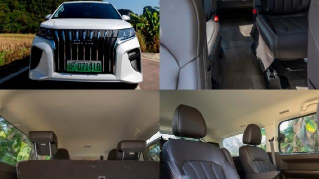 2-8人拼團|私家團包車|南寧崇左可起止｜花山岩畫+白頭葉猴