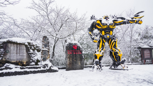 Three Natural Bridges + Longshuixia Fissure Gorge: Private Tour with English-speaking Guide|Karst landscape 1-day tour