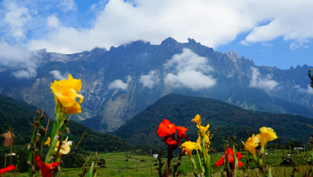 亞庇神山一日遊 可選神山牧場/ATV體驗/滑翔傘/魚療