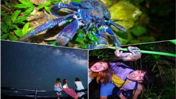 Visite nocturne des étoiles dans le ciel et de la jungle subtropicale à Ishigaki