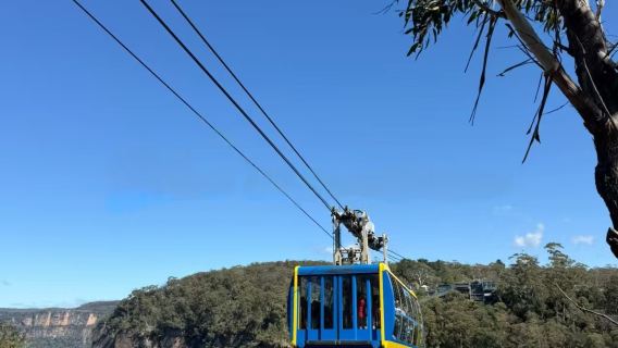 雪梨藍山3段纜車-費瑟戴爾野生動物園包車一日遊不含門票