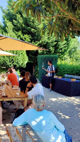 Full-day wine tasting and river cruise in Porto's Douro Valley