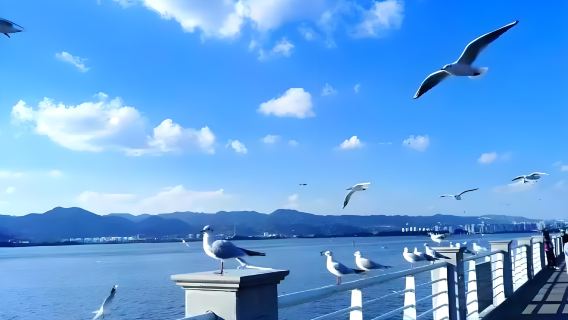 Private charter day tour from Kunming to Shilin and Haigeng Dam: Karst landforms + West Mountain lake views