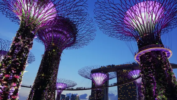 Singapura: Gardens by the Bay + Cloud Forest + Flower Dome dengan layanan pemandu wisata dan tiket masuk