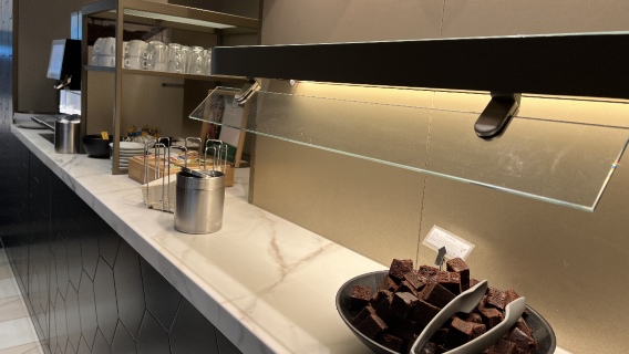 Amsterdam Airport Schiphol VIP lounge pass (Dutch-designed tranquil space + hot meals and beverages + restful sleep to relieve transit fatigue)
