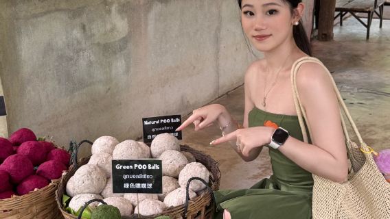  สวนช้าง Elephant POOPOOPAPER ปาร์ค เชียงใหม่ | ตั๋วเข้าชม + กิจกรรมเสริม