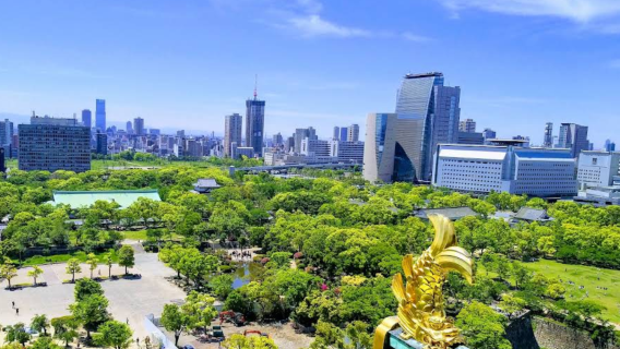 日本大阪來回-京都-二條城-錦市場-清水寺【中文包車自由行】