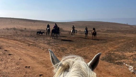 Oran: Sunset Horseback Riding Tour at Les Andalouses