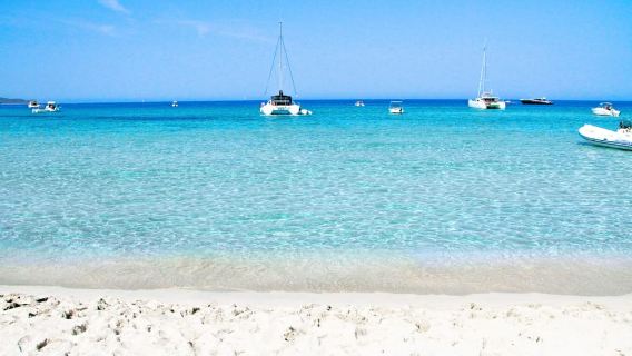 From Calvi: Agriate Guided Jeep Tour to Lotu and Saleccia