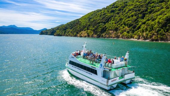 Picton Shore Excursion: Queen Charlotte Sounds Cruise