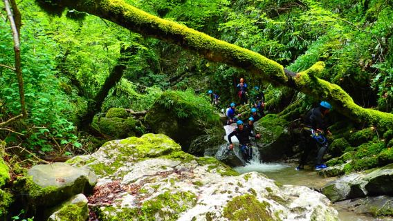Talloires: Guided Canyoning Experience in Angon Canyon