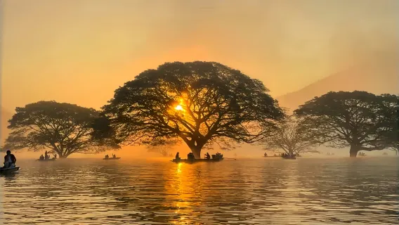 CHIANG MAI GRAN ÁRBOL DE LA LLUVIA + CAFÉ ELEFANTE + WAT BANDEN Tour