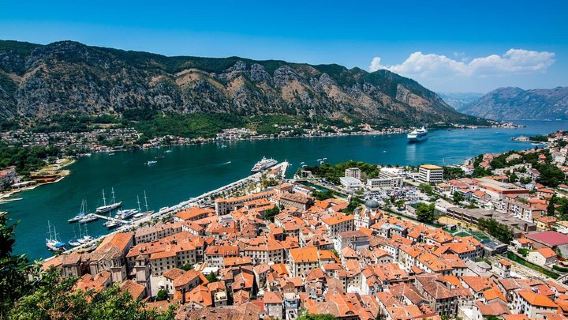 Kotor