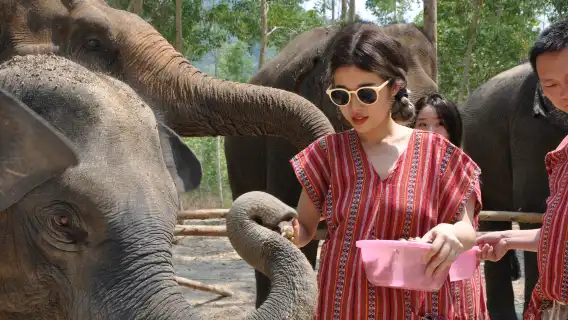 プーケット・ナイディー・エレファント・ケア・パーク ワンデーツアー【全島送迎付き】|中日ガイド|カメラマンによる撮影