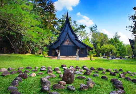 Chiang Rai Day Tour from Chiang Mai: Baan Dam Museum + Wat Rong Khun - White Temple + Rong Suea Ten Temple