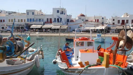 Mykonos Highlights: Half-Day Private Tour with Transportation