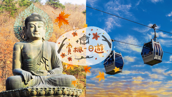 Fall Limited Red Leaves|1-day tour to Seoraksan in Korea with cable car experience