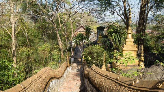 Phousi Hill + Wat Xieng Thong 1-day tour [Luang Prabang half-day city tour]