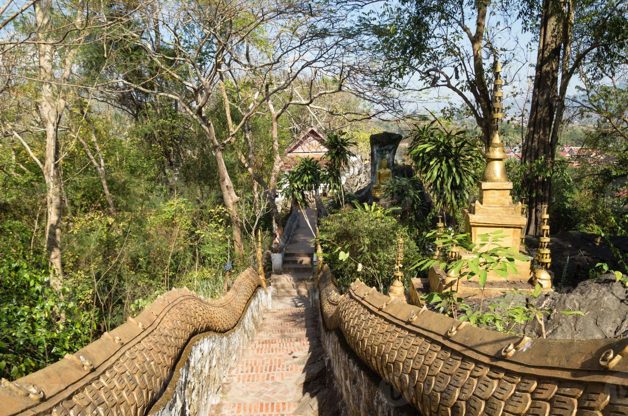 Phousi Hill + Wat Xieng Thong 1-day tour [Luang Prabang half-day city tour]