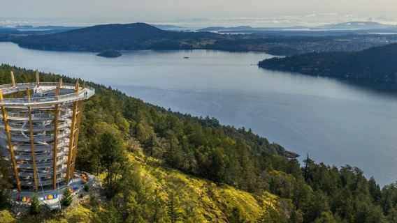 Best of Victoria with Malahat Skywalk & Butchart Gardens