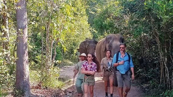 Svay LeuTours