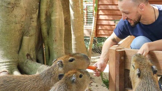 可倫賓野生動物保護園 + 熱帶水果園 + 伯利角國家公園 + 鯛魚巖※