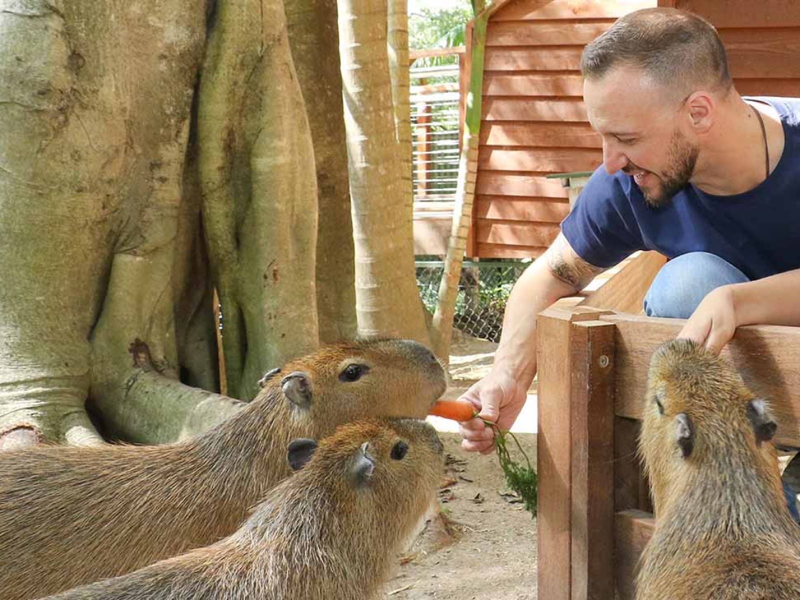 黃金海岸一日遊|可倫賓+伯利角國家公園+鯛魚巖|行程可自訂※