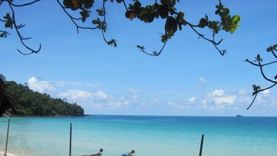 Ferme apicole de l'île de Phu Quoc + Parc national + Village de pêcheurs + Excursion d'une journée à Phu Quoc (Déjeuner + Guide touristique)